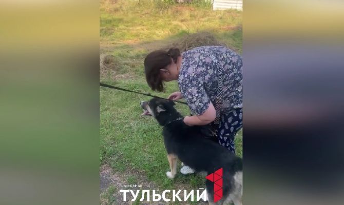 «Проехал свыше 300 км»: пес-путешественник нашел нового хозяина
