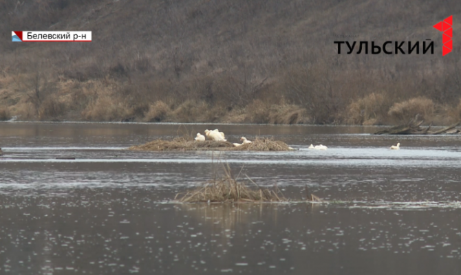 Реабилитация Оки: экологи озвучили рецепт спасения 