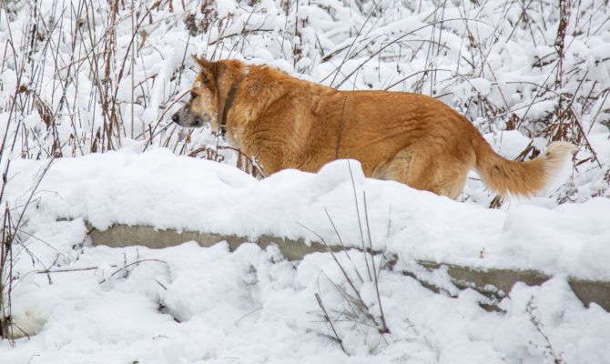 Синоптики рассказали о погоде в Тульской области до весны