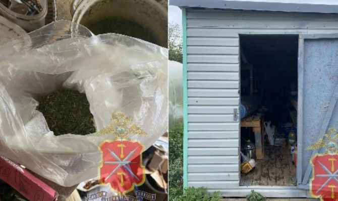 Полицейские нашли на садовом участке тулячки крупную партию марихуаны