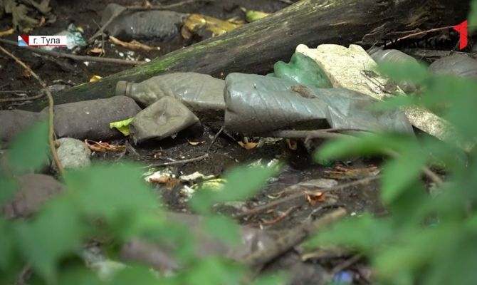 В тульском Старом Басово в пруду вымерла рыба и помутнела вода
