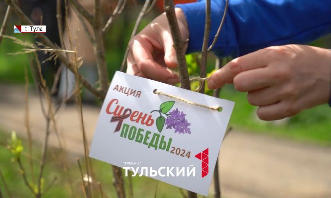 В Пролетарском парке Тулы высадили аллею сирени