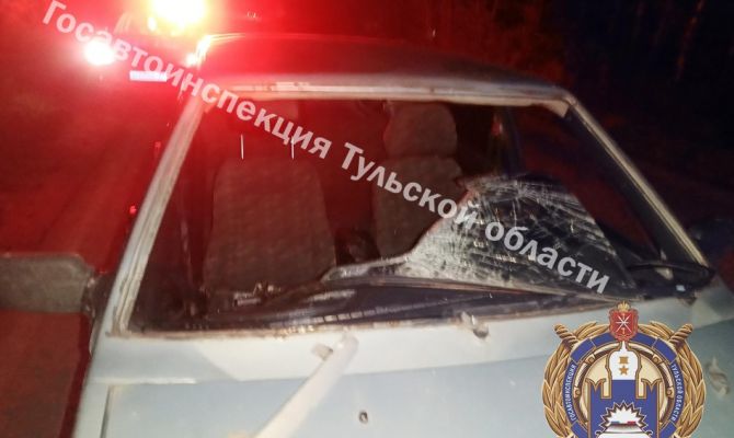 Под Тулой пьяный водитель насмерть сбил мужчину