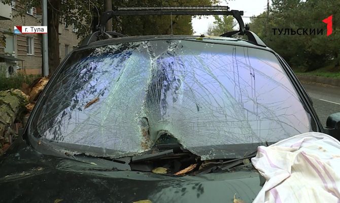 Упавшее дерево превратило машину туляка в груду металла: мужчина готовит иск к администрации