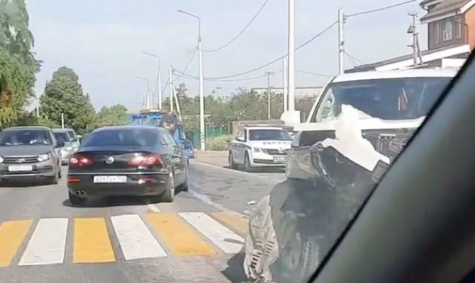 "Крузак" против "Фокуса": под Тулой произошло жесткое ДТП