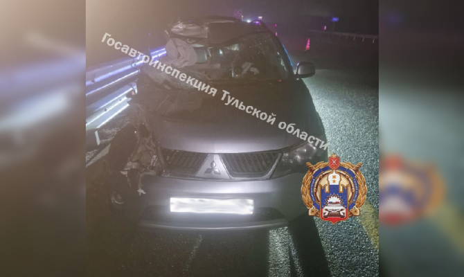 На трассе М-4 в Ефремове 39-летний водитель устроил ДТП