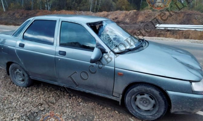 В Дубенском районе сбили 41-летнего мужчину