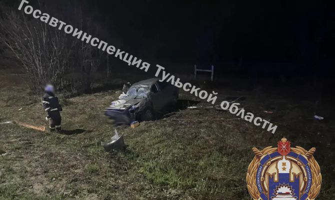 Годовалая девочка пострадала в ДТП под Дубной