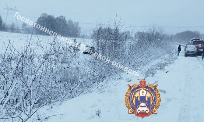 В Дубенском районе девушка за рулем иномарки вылетела с дороги