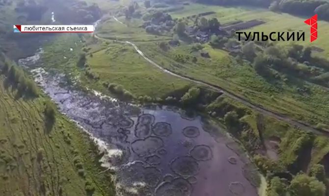 Инопланетяне, рыба, мертвый батюшка: на пруду в Каменском районе появились таинственные круги