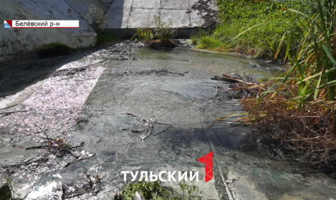 В Тульской области вода в притоке Оки окрасилась в белый цвет