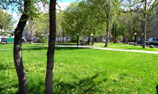 Кировский против Мятного сквера: в Туле выбирают пространства для благоустройства