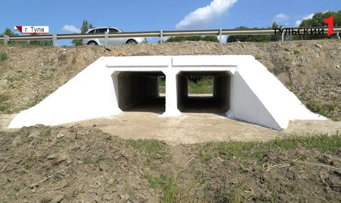 Удивительное дело: в Тульской области пропала целая река