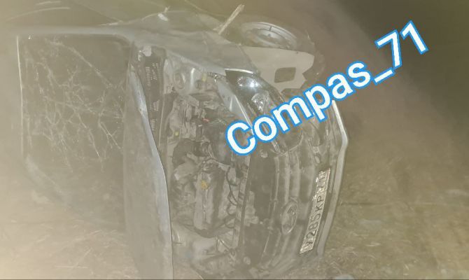 Под Тулой лиса стала причиной ДТП-перевертыша