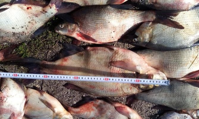 Двоих туляков осудили за незаконную ловлю рыбы на Шатском водохранилище