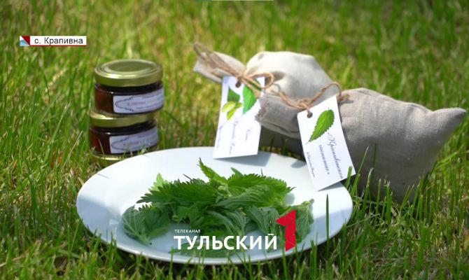 В Тульской области сорняк превратили в туристический бренд