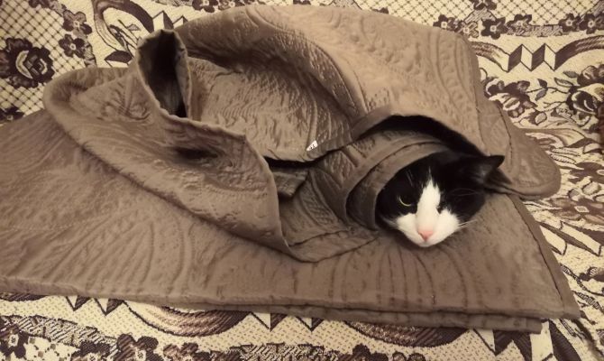 Нутрициолог назвала лайфхаки для хорошего сна