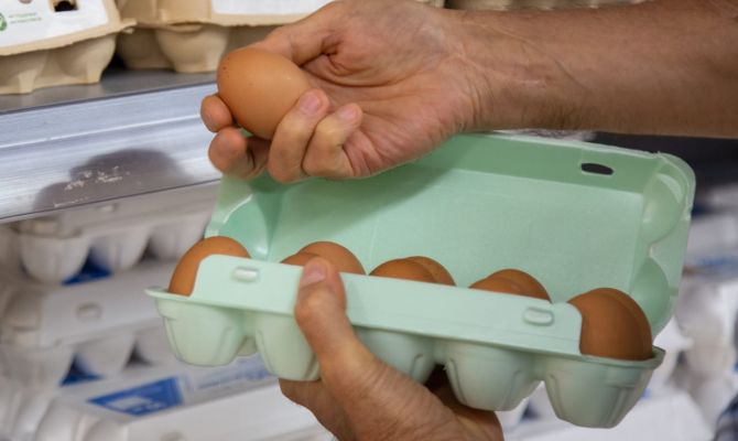 Стало известно, когда в России подешевеют куриные яйца