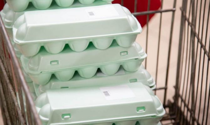 В Тульской области за неделю подешевели куриные яйца