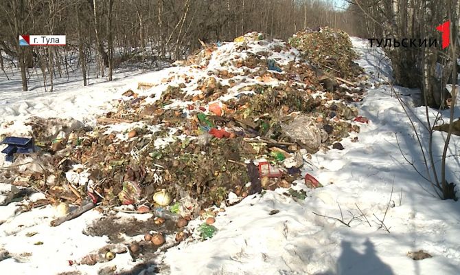 Кто сбросил на проселочную дорогу под Тулой несколько тонн гниющих овощей и фруктов