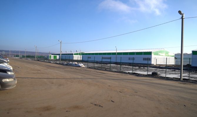 В Туле сборщика овощей в теплицах уволили без зарплаты спустя неделю работы