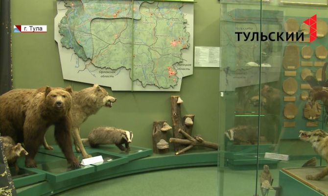 Тульскому областному краеведческому музею исполняется 100 лет