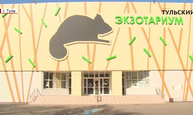 В тульском Экзотариуме родилось сразу десять малышей