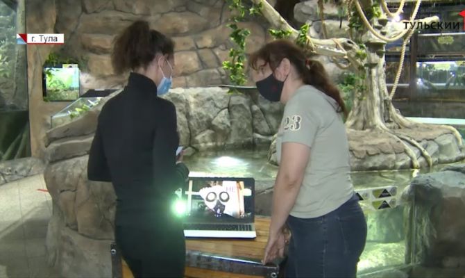 От Экзотариума до библиотеки: какие организации в Тульской области возобновили свою работу