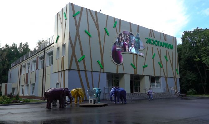 В Тульском экзотариуме появились винные узкороты и муравьи-жнецы