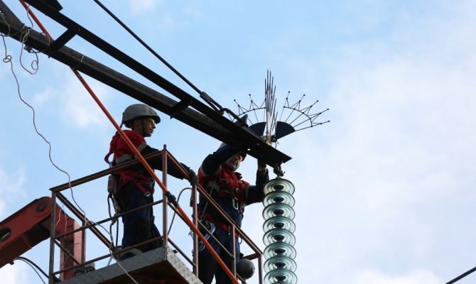 В Тульской области птиц защитят от ударов током