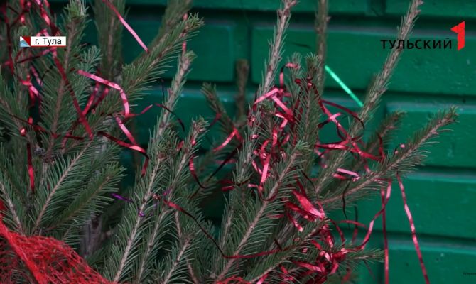 Как правильно попрощаться с новогодней елкой