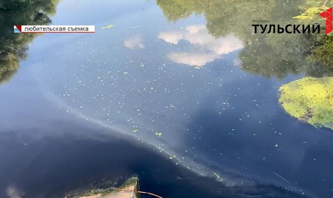 Преступление против природы: прокуратура ищет виновных в загрязнении реки Дон в Тульской области