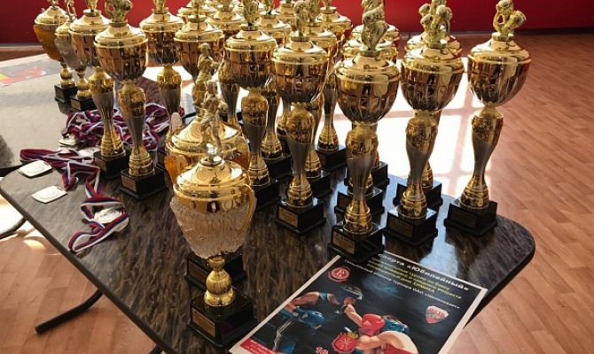  В Тульской области определили лучших боксеров