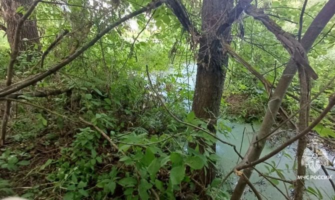 На реке Красивая Меча под Ефремовом утонула женщина