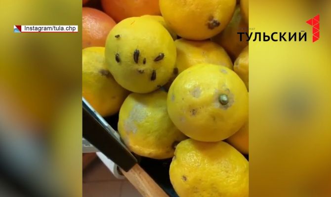 В Туле в одном из супермаркетов по продуктам бегали тараканы