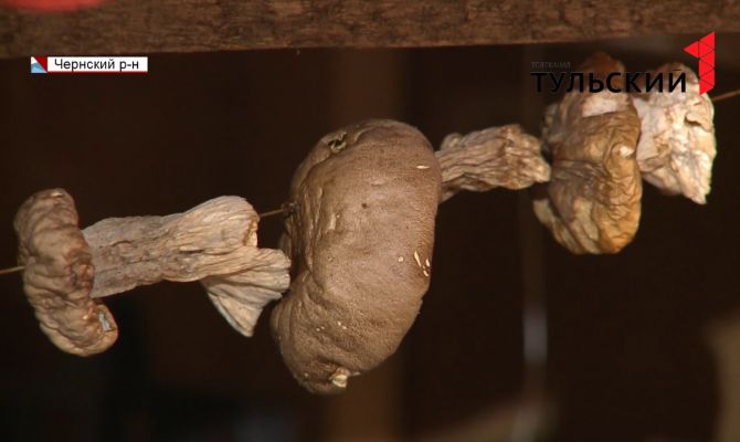 Как заработать на грибах и стать главным поставщиком московских ресторанов