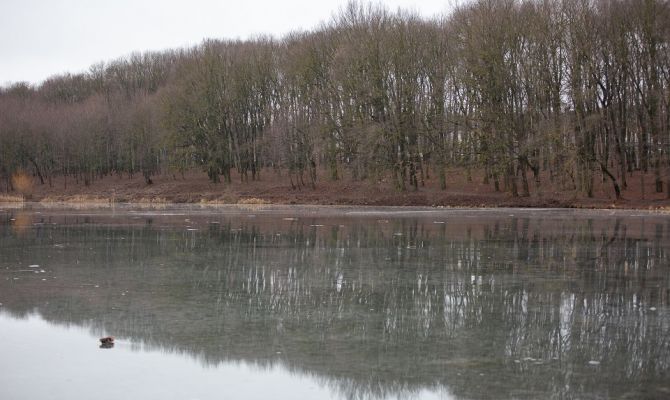 30 января в Тульской области будет до +7 градусов