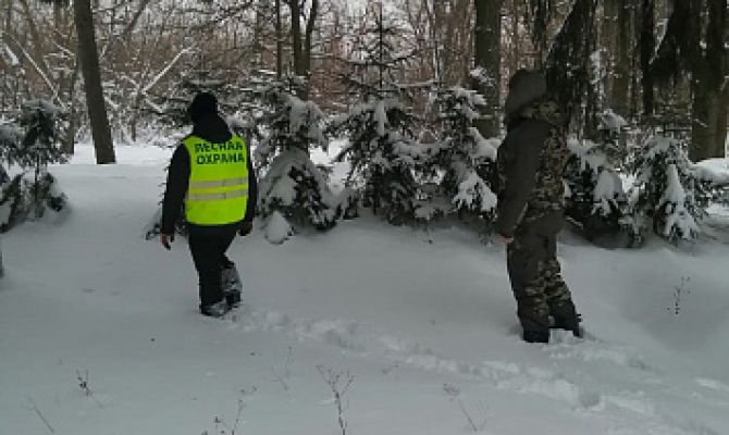 Тульские инспекторы провели почти 600 патрулирований в лесах