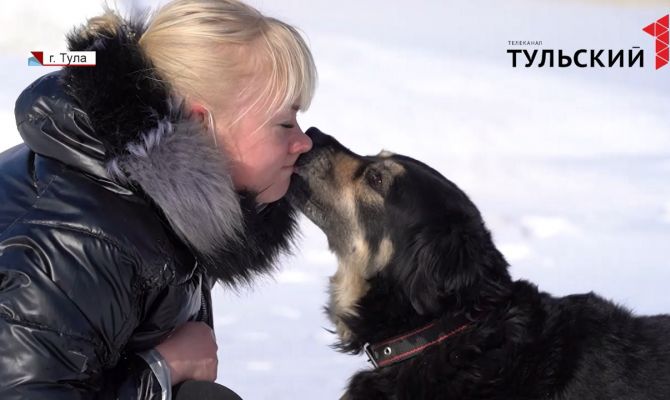 В Туле оставшейся без хозяина собаке нужны деньги на операцию