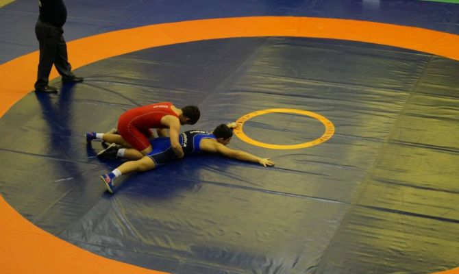 Тульские борцы привезли 6 медалей из Подольска