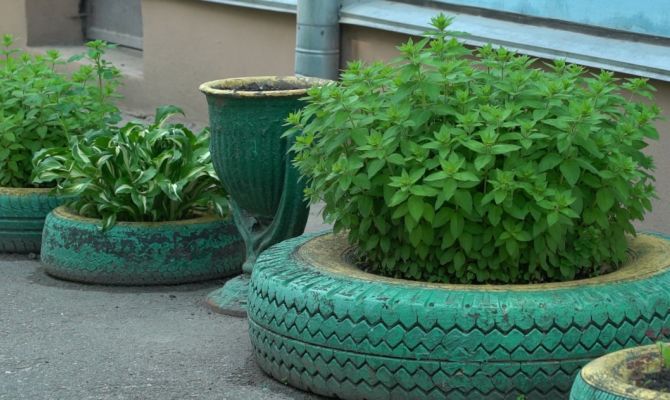 На какую сумму туляков могут оштрафовать за клумбы из шин