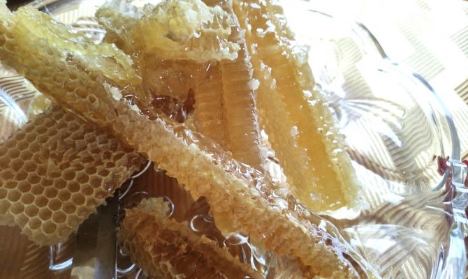 Названы бренды, продающие фальсификат под видом меда