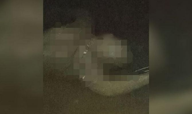 Тульские рыбаки выловили в Алексине часть человеческого тела