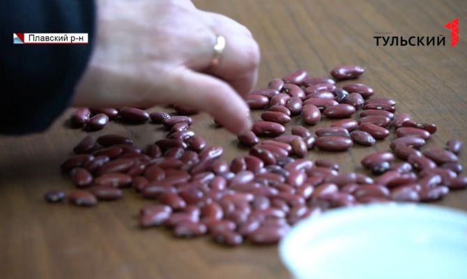 Как выбрать лучшие семена для посадки