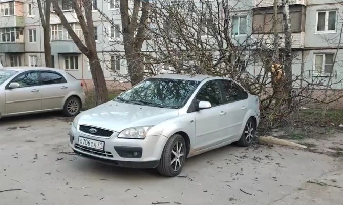 В Туле дерево рухнуло на автомобиль: владелец требует компенсации