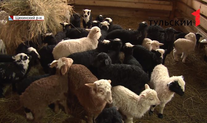 Фермера из деревни Спасское соседи обвиняют в антисанитарии и самозахвате земли