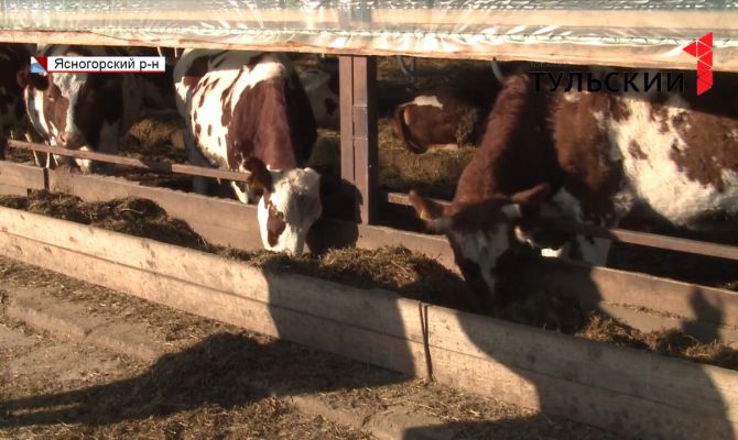 Зачем москвичи продают квартиры и уезжают под Тулу 