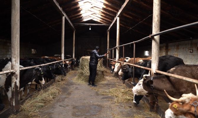 Поддержка от Минсельхоза: как тульским фермерам получить грант на развитие хозяйства до 5 млн