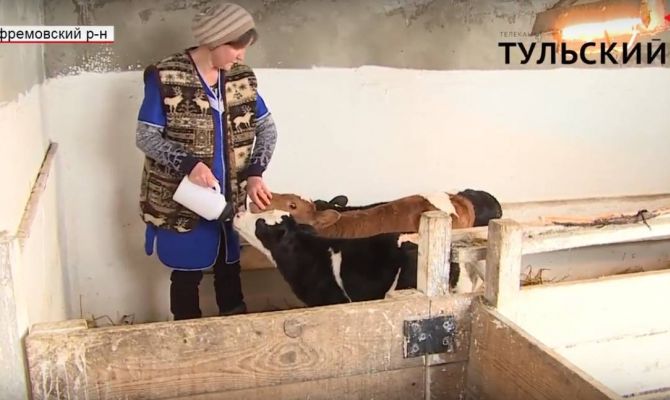 Тульские фермеры: Молоко сдаем по 23 рубля, а продают его по 70