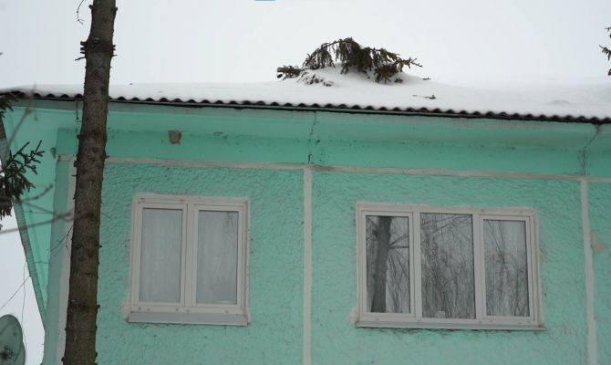 Под Ясногорском упавшая ель пробила крышу дома: с текущей кровлей люди живут уже 4 года